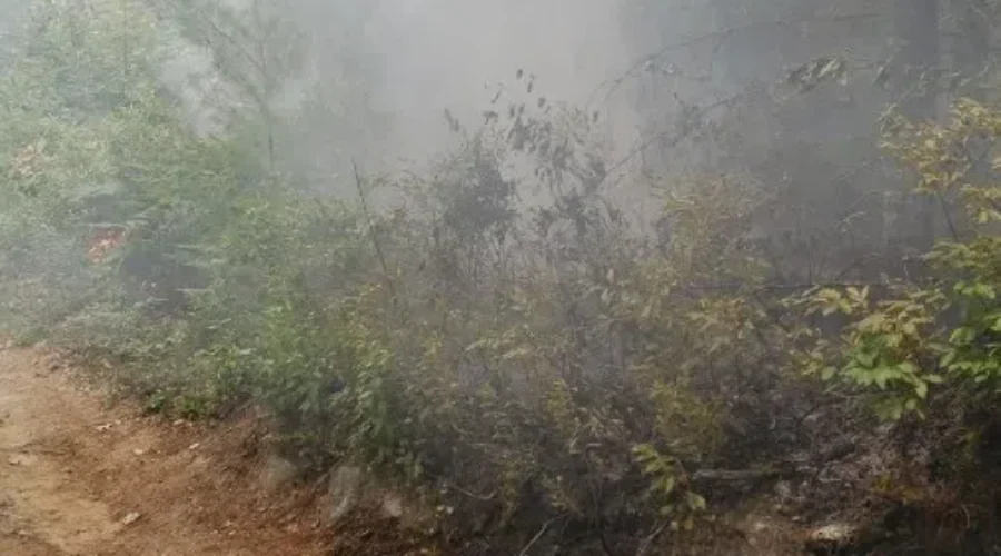 Two Camps Fortunate to be Standing Following Woods Fire near Vaughan’s Lake
