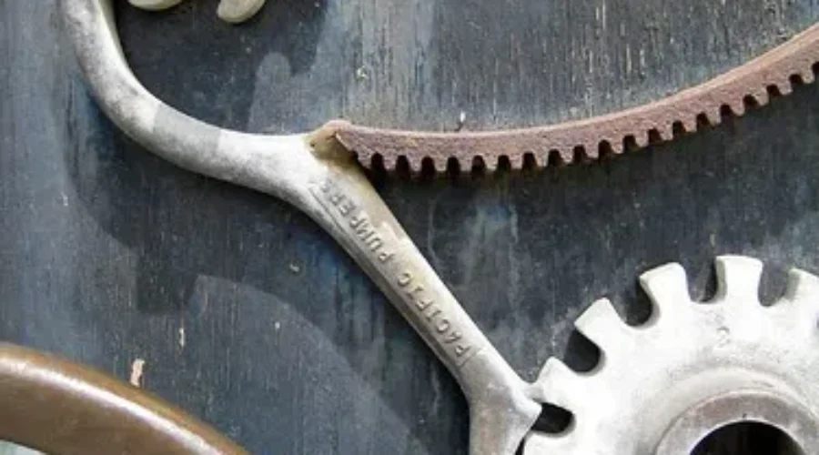 Would You Get A Robot Dog?