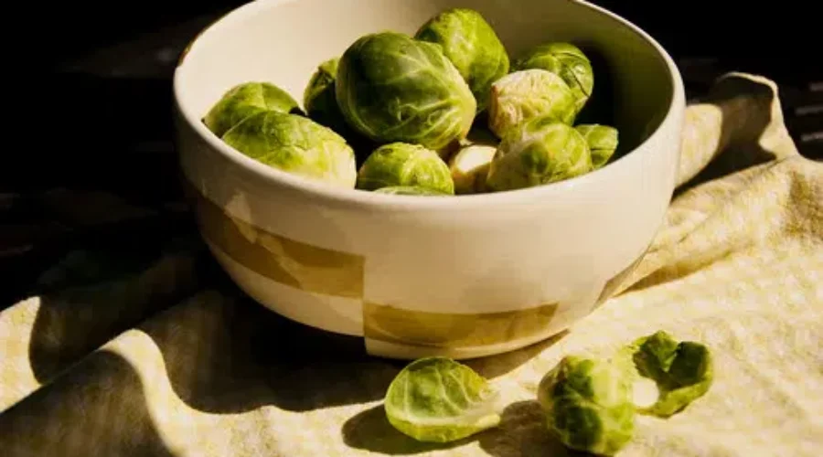 Kids (Don’t Eat) The Darndest Things!