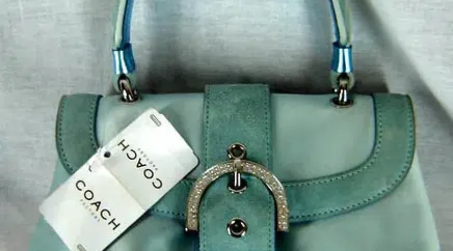 The Mysterious World of Women’s Purses