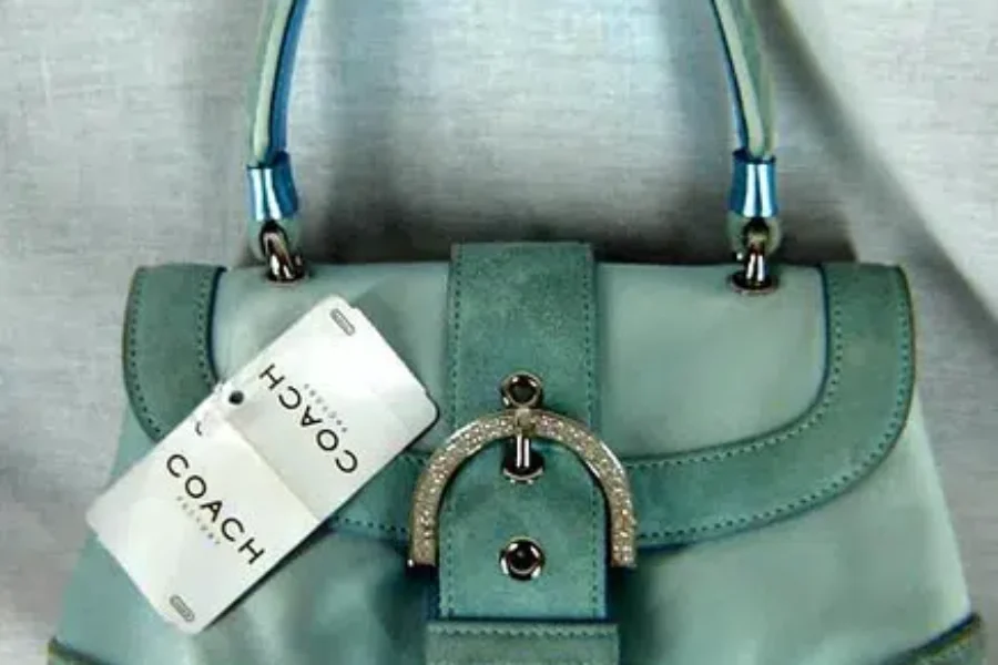 The Mysterious World of Women’s Purses