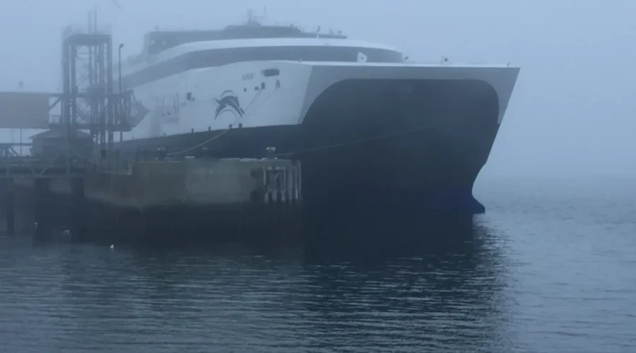 NDP Leader Says Government Needs To Be Upfront On Ferry Issue