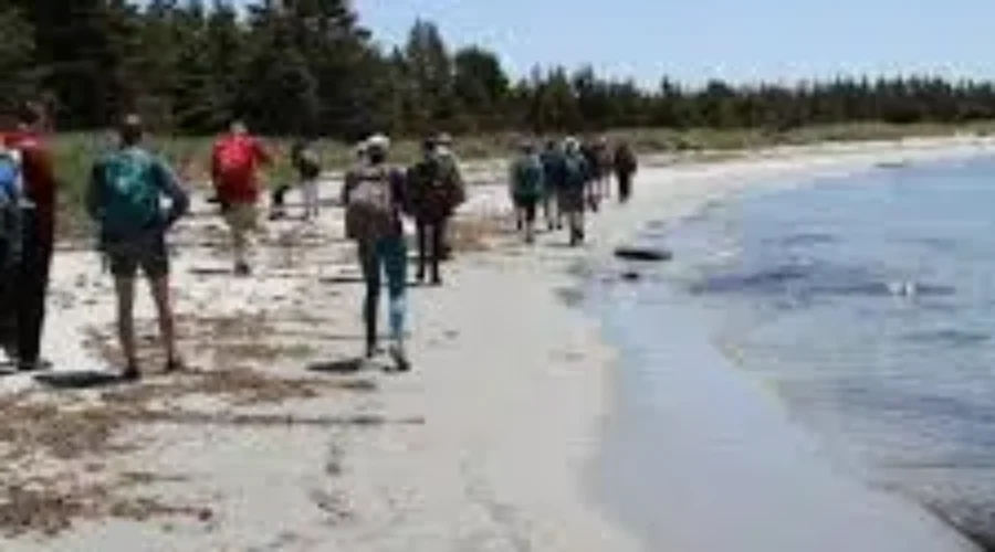 Beach Clean up Today In Shelburne County