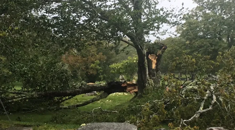 Dorian Leaves Hundreds Of Thousands Without Power