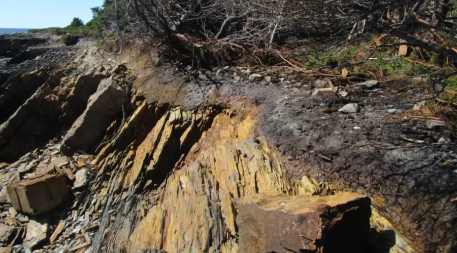 Gaff Point Closed, Left In Shambles By Hurricane Dorian