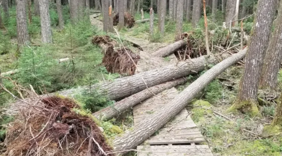 Keji Front Country Reopens Today