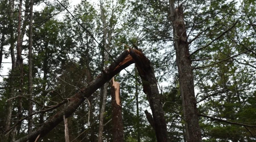 This Could Take A While