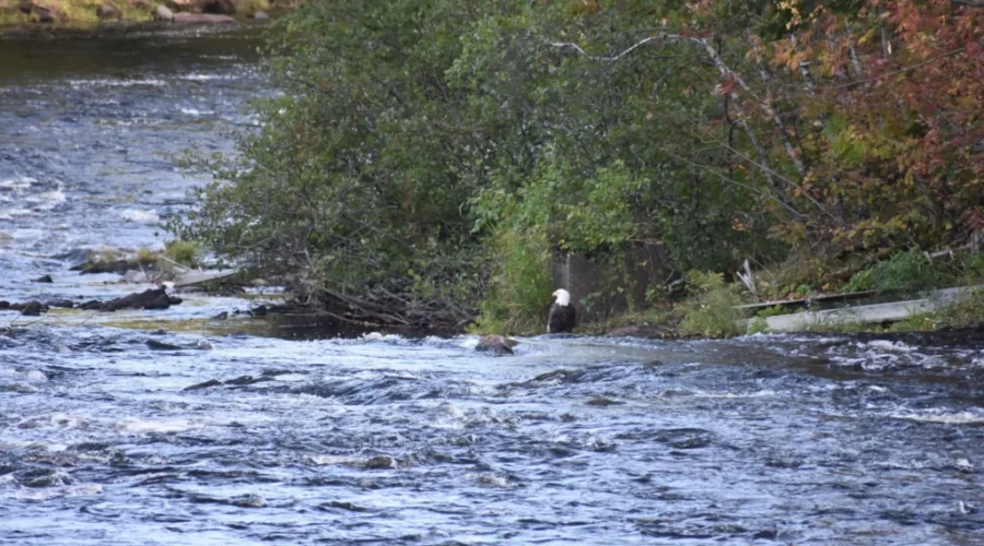 A Different Kind Of Symbol