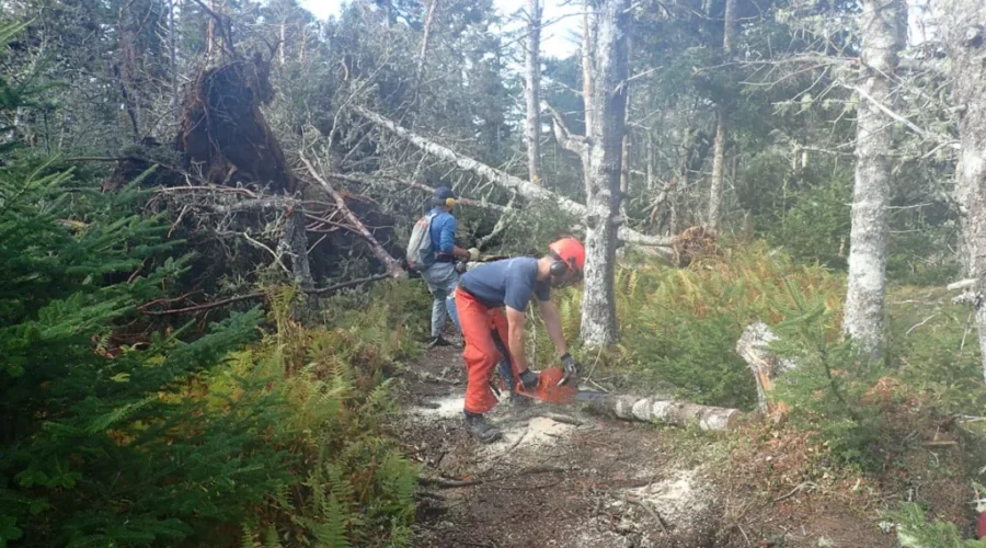 Gaff Point Reopens After Three Week Closure
