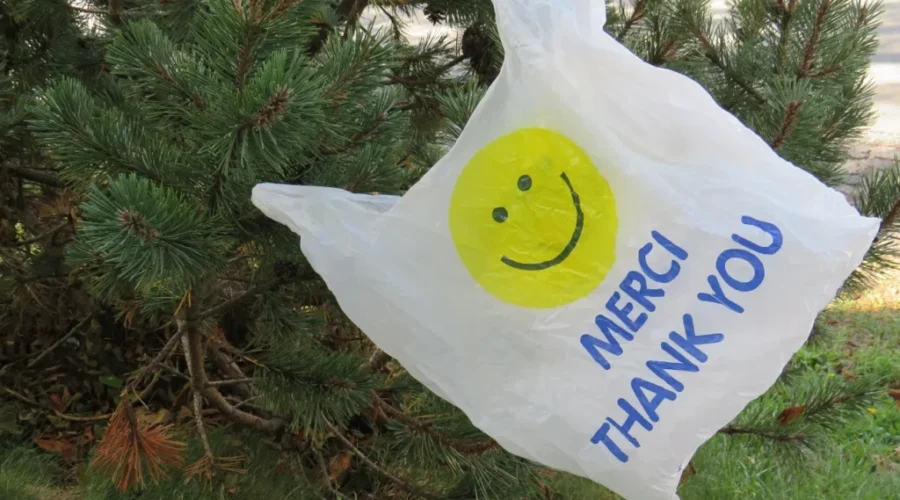 Bag Ban Has Advocates Calling For More Action