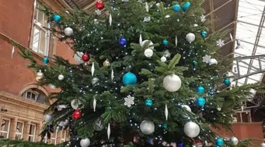 Lunenburg Lighting Of the Trees Campaign Underway