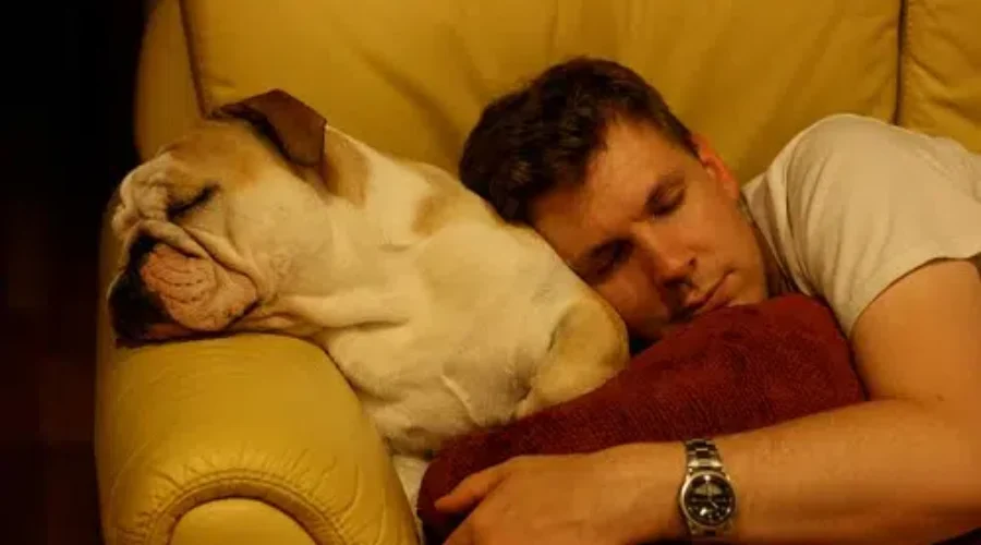 New Study Finds Canadians are sleeping much better than Americans