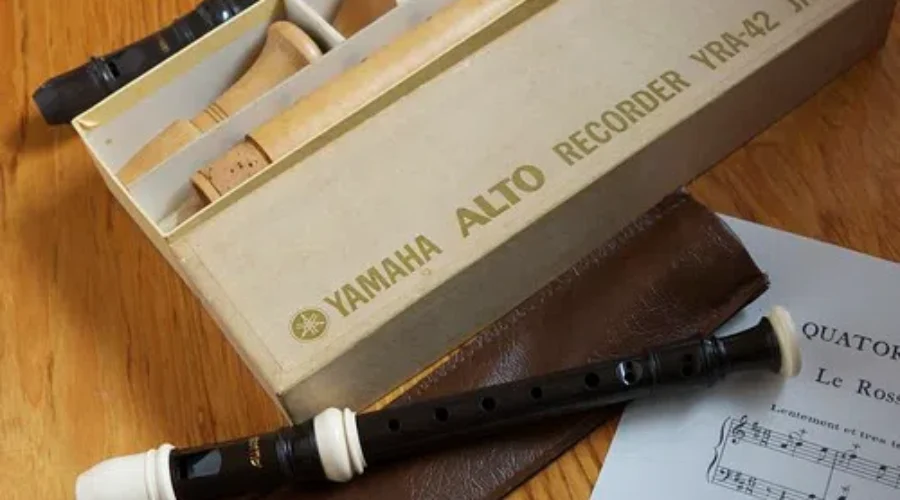 Love Music, Hated Music Class