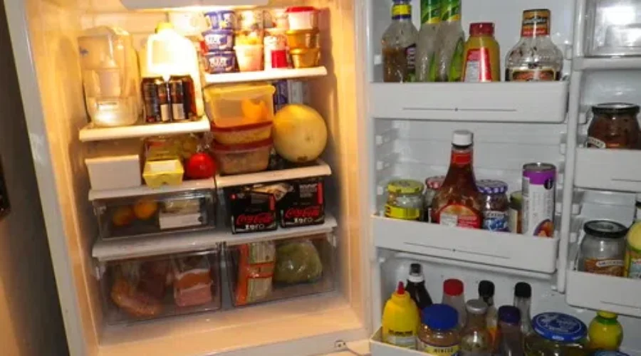 Fridge Deep Clean Four Times A Year – Really?!?!?