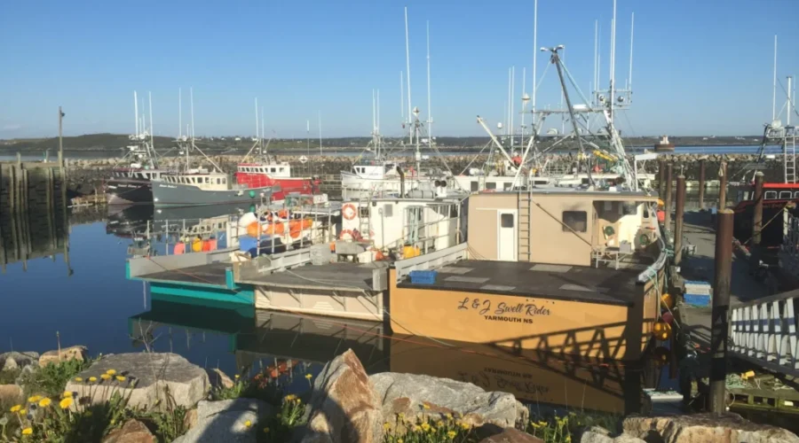 Dumping Day Set For Tuesday Morning