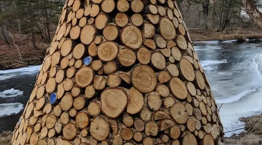 Trail Association Looking To ‘Spruce’ Up Wooded Trail