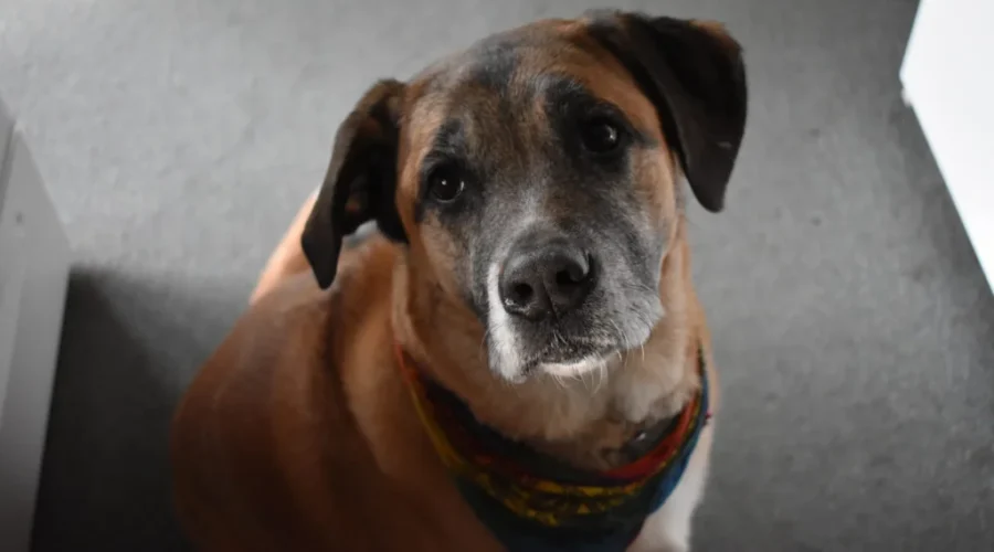 The Last Bite Is Spoken For