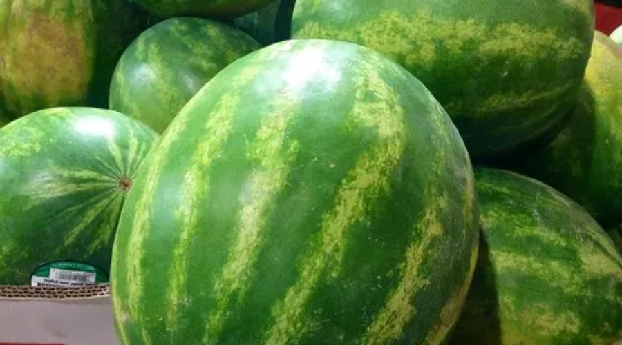 Watch – All Star Played On Melons