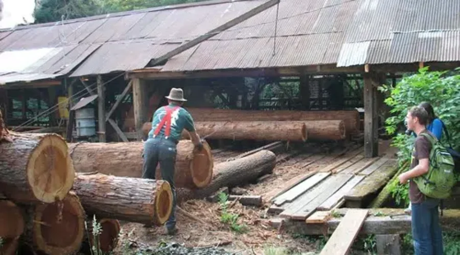 Local Businesses connected to Northern Pulp Worried About Possible Shut Down