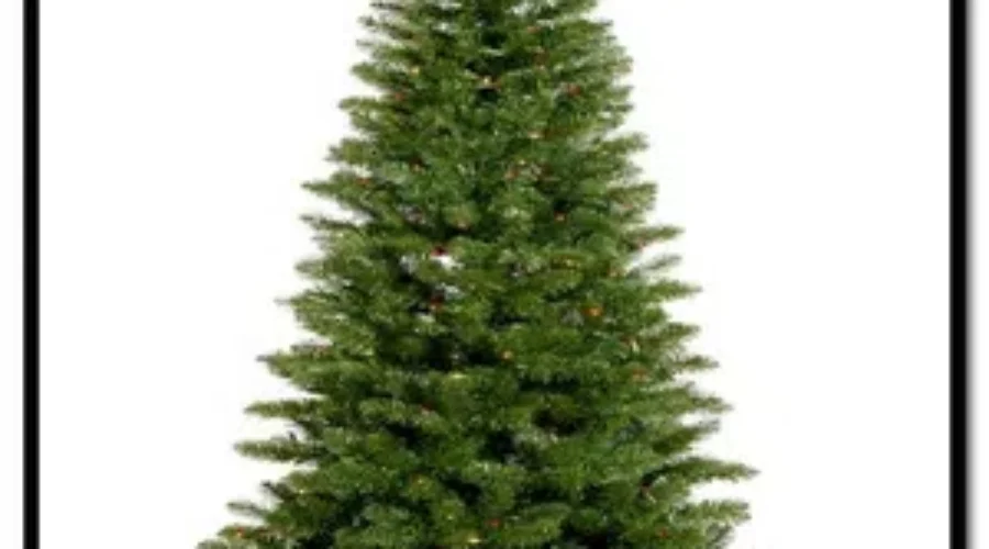 Oh The Places They Could Go