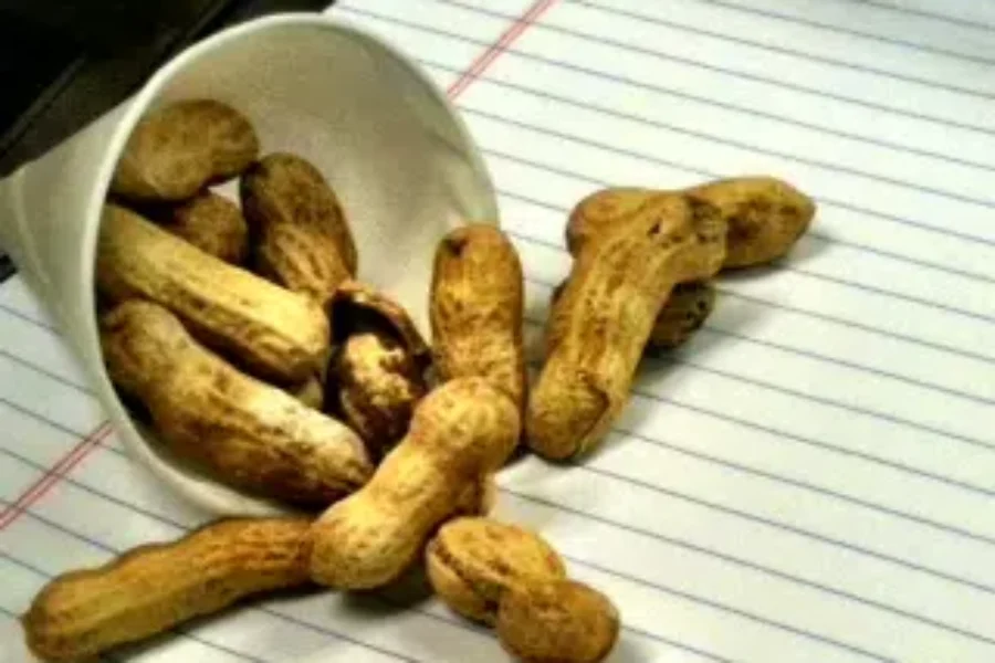 R.I.Peanut