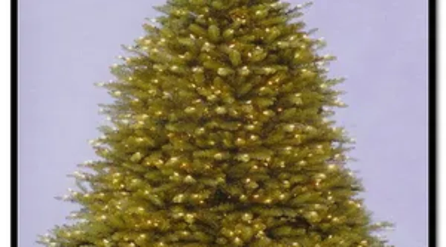 You Shall Remember Me By The Trail Of Needles