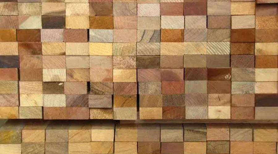 What does Northern Pulps Nova Scotia Supreme Court Challange Mean?