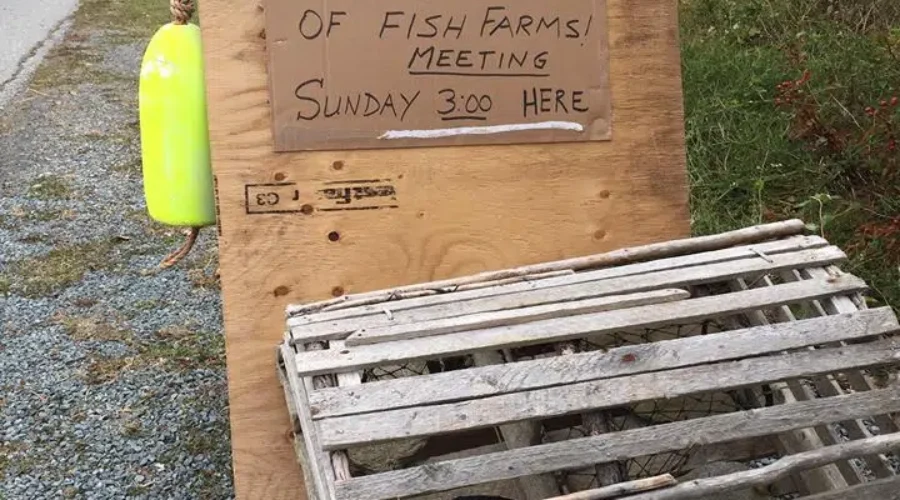 Mahone Bay Hosts Anti-Aquaculture Public Session