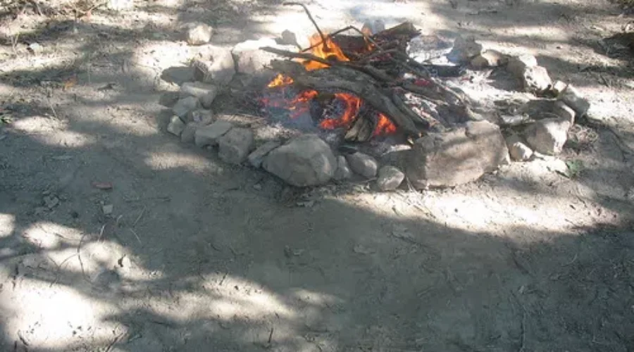 Reality Show Confessions