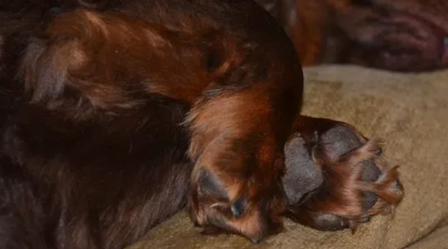 Anyone Smell Popcorn?