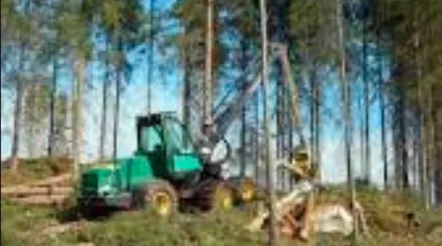 Details On Forestry Contractor Financing Released