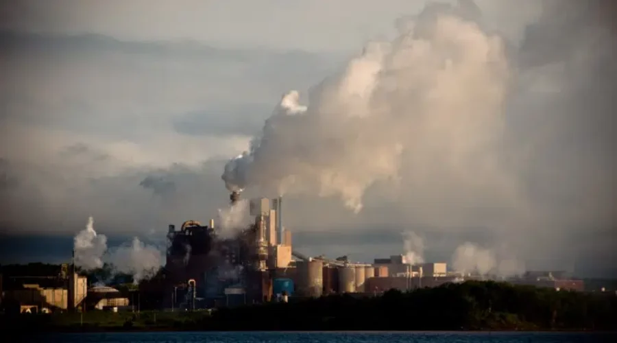 Northern Pulp Officials Say They Plan To Reopen Nova Scotia Mill In The Future