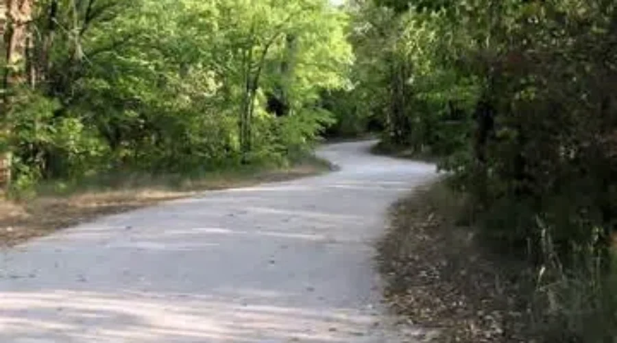 Multiple Lunenburg County Clean Energy and Active Transportation Projects Receive Funding