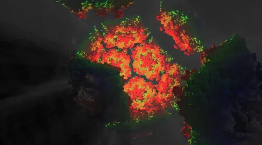 Best Tip I’ve Heard On Coronavirus – Pretend You Have It!