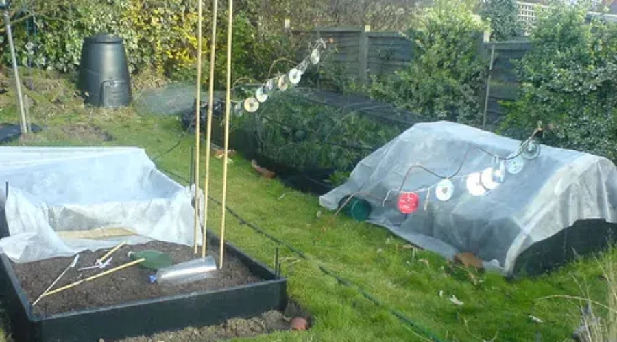 Getting Serious About Self-Isolation