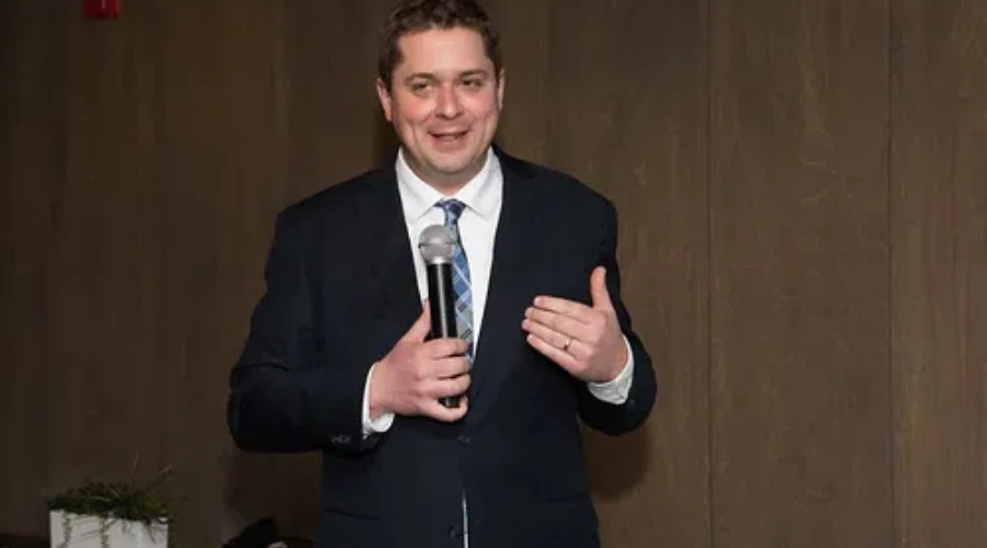Scheer: More Government Oversight Needed