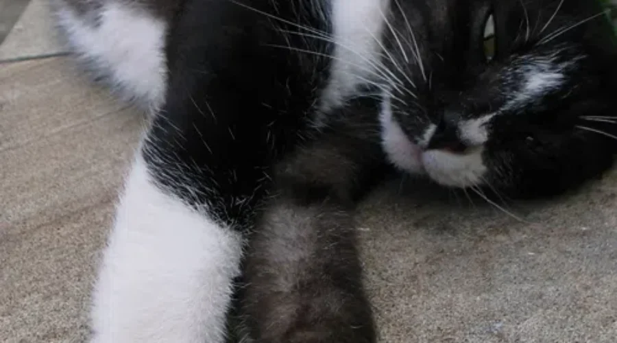 Tell Us What Your “Coworkers” (Wink Wink) Are Doing