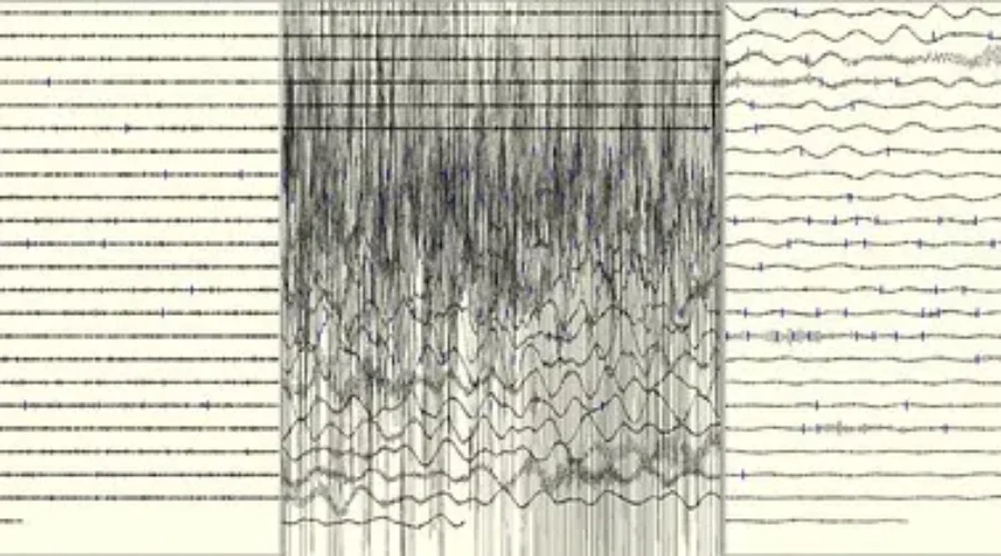 Thankfully, We’re Not Good At Earthquakes