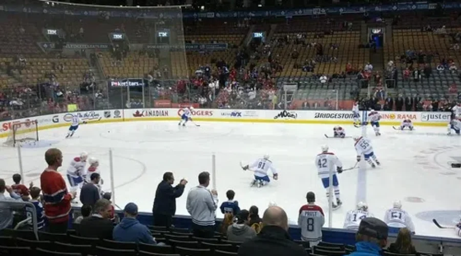 Last Night’s Leafs-Canes Game (Kind Of)