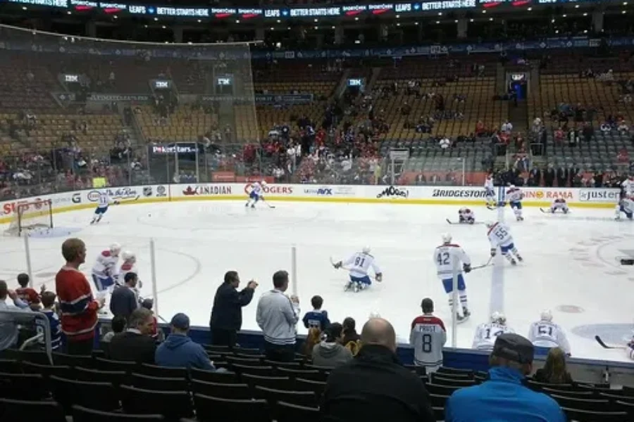 Last Night’s Leafs-Canes Game (Kind Of)