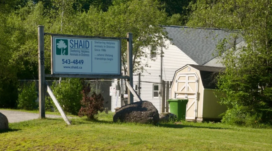Shaid Tree Animal Shelter Yard Sale a Huge Success