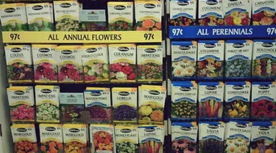 Now Is The Time To Get Your Seed Orders In