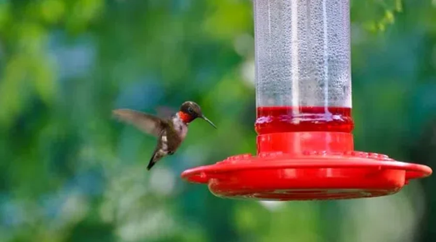 They’re On The Way