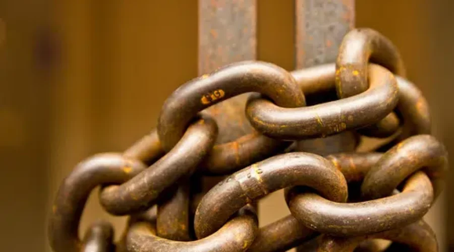 Free Videogames And An Offer To Play On My Rust Server