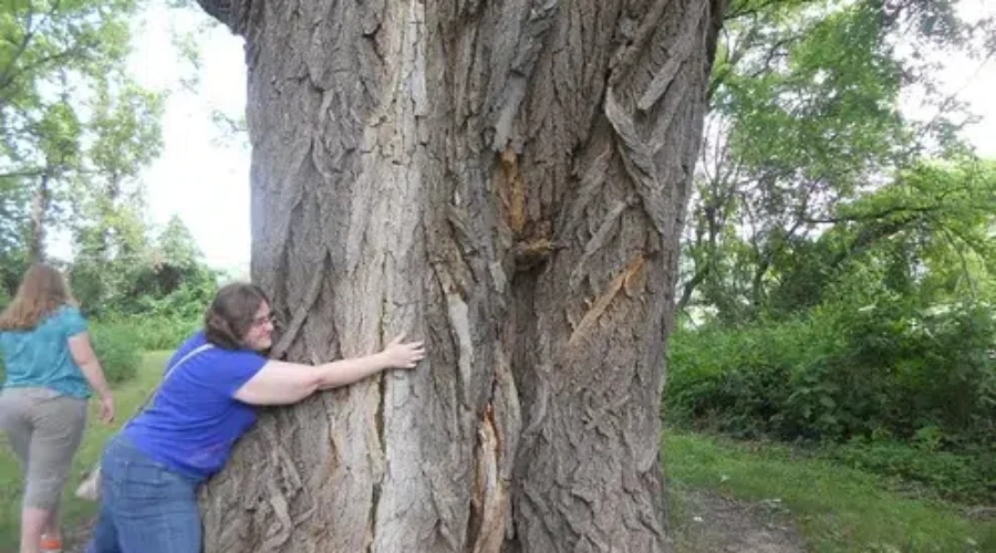 A Kooky Suggestion I’m Going To Try