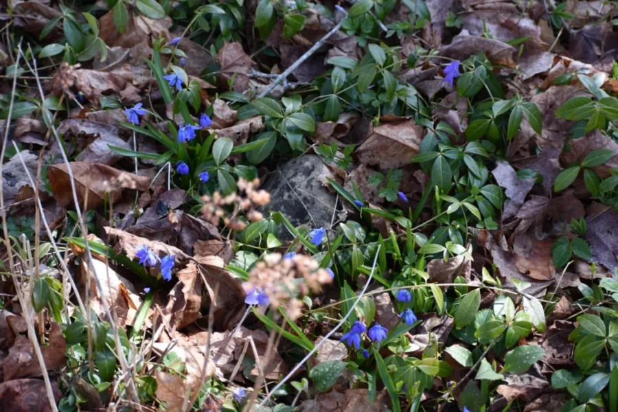 Bits Of Colour