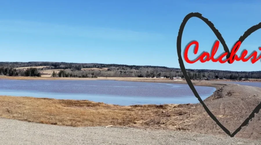 Virtual Vigil To Honour Victims Of Nova Scotia Tragedy