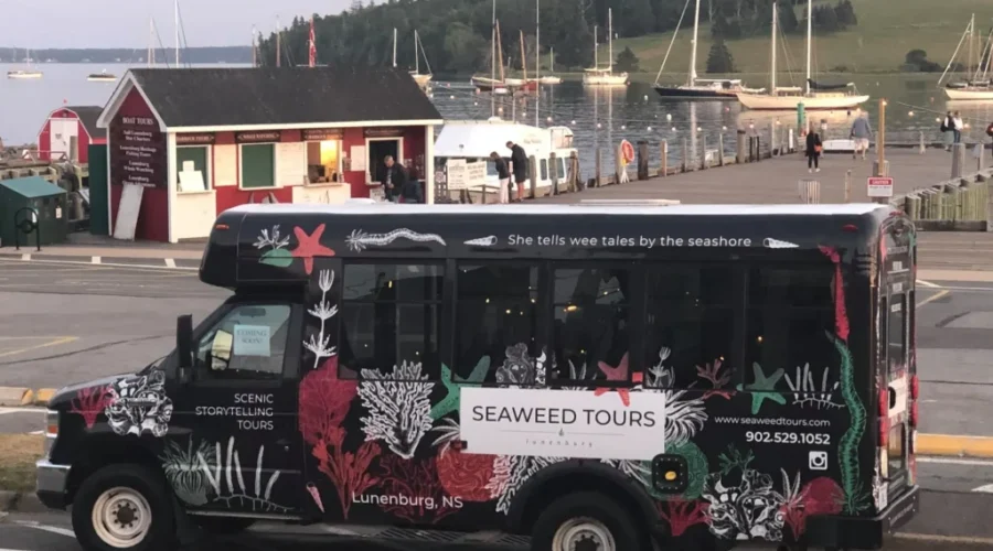 Tour Operator Looking For Awesome Way To Give Back