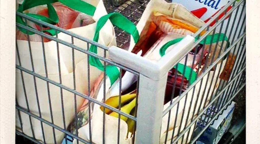 New Grocery Delivery Service Big Help For Seniors And Vulnerable Adults