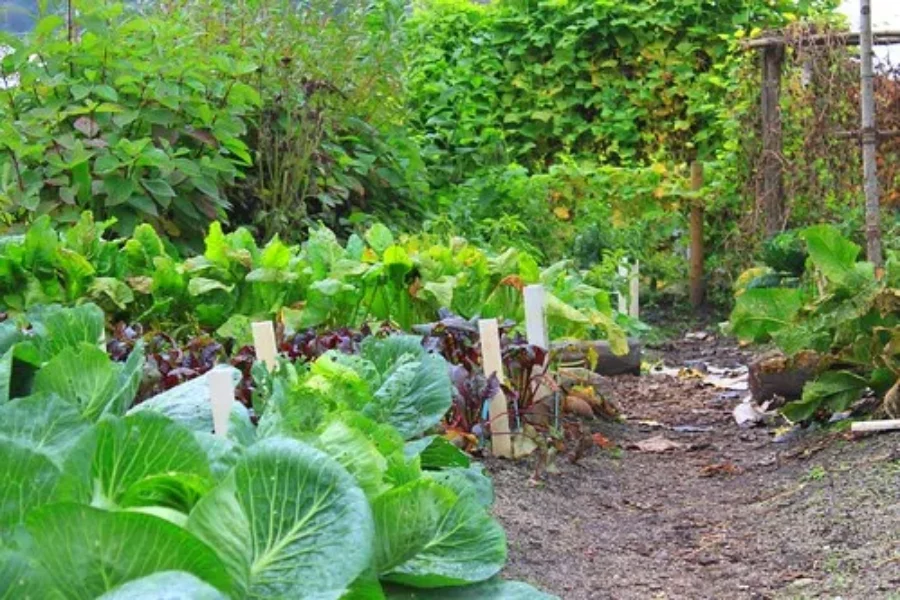 Almost Garden Time